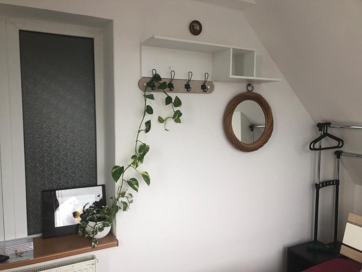 Homestay U Hanky Zdiby Exterior photo